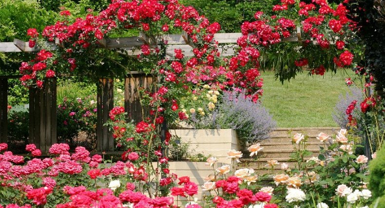 Brookside Gardens, United States